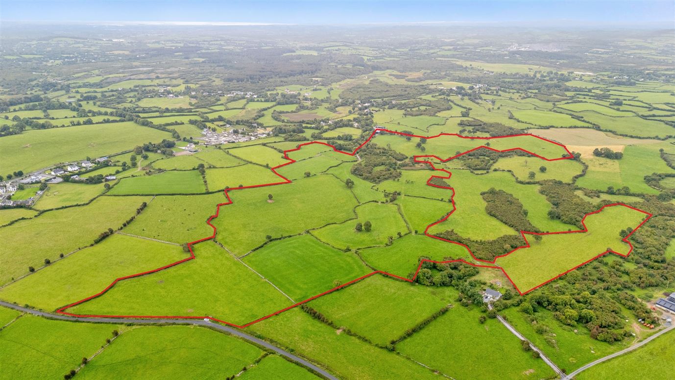 73.5 Acres Of Land & Farm Buildings, Ballymacrogan East, Ruan, Ennis, Co. Clare.