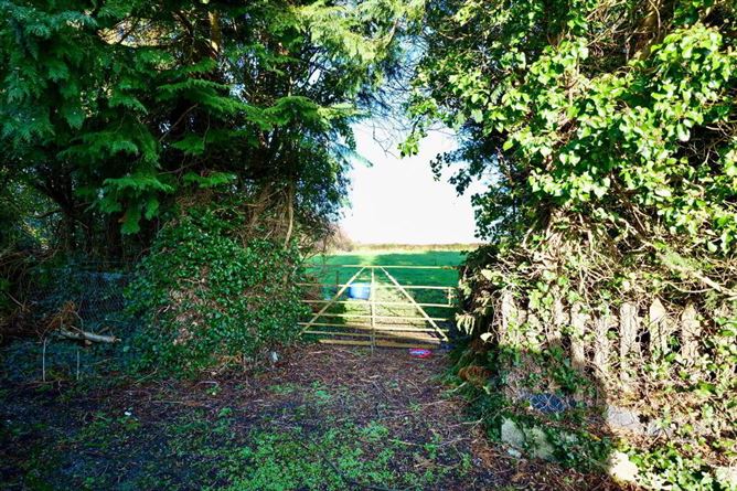 Photo 14 of 15 — Raheenagh, Newcastle West, Limerick