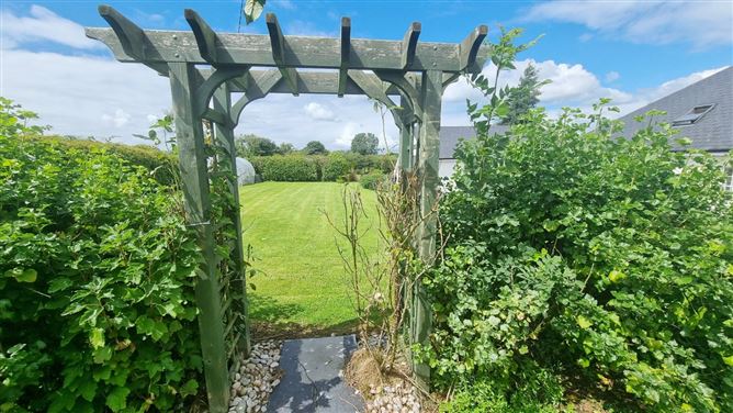 Island, Virginia, Cavan