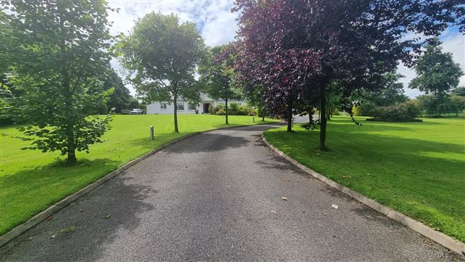 Island, Virginia, Cavan