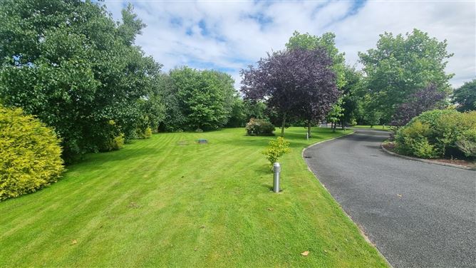 Island, Virginia, Cavan