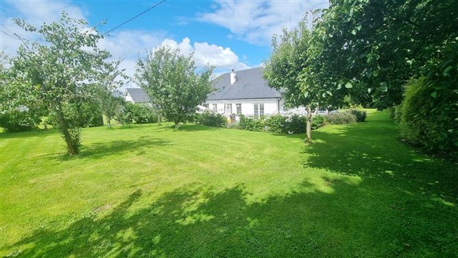 Island, Virginia, Cavan