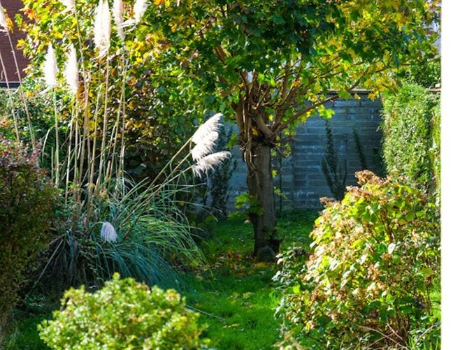 20 Casements Avenue, Tralee, Kerry