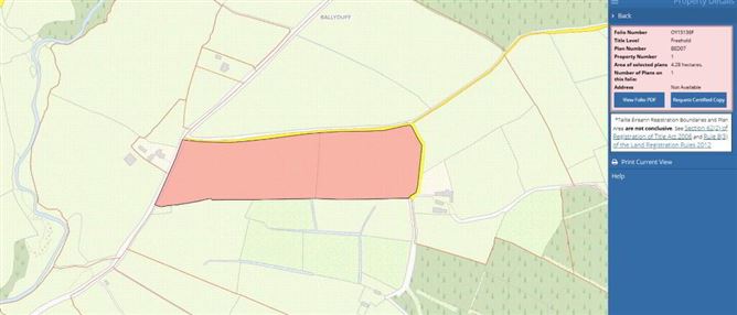 C. 4.28 Ha At Ballyduff, Roscrea, Tipperary