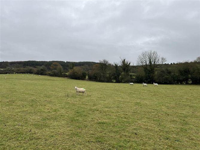 C. 4.28 Ha At Ballyduff, Roscrea, Tipperary