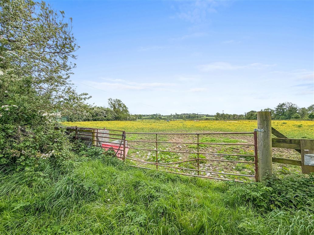 Mylerstown, Two Mile House, Kildare