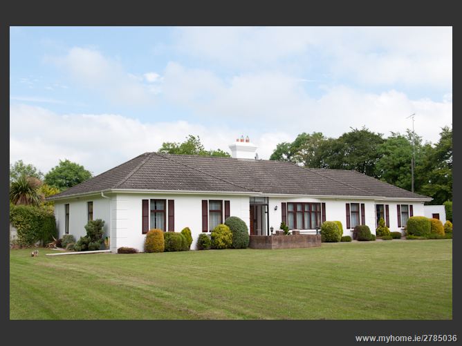 Ginnets Great, Summerhill, Meath
