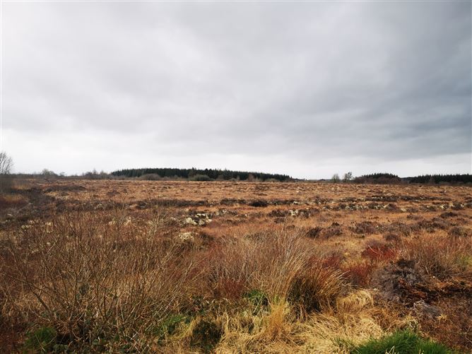 Tumgesh, Swinford, Co. Mayo