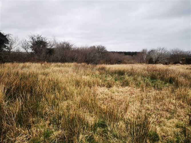 Tumgesh, Swinford, Co. Mayo