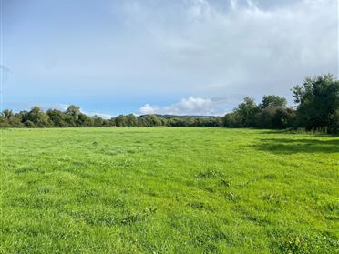 Image for c. 27 Acres, Fodeens, Kill, Kildare