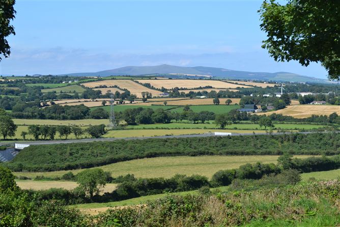 Ballyminaun, Gorey, Wexford