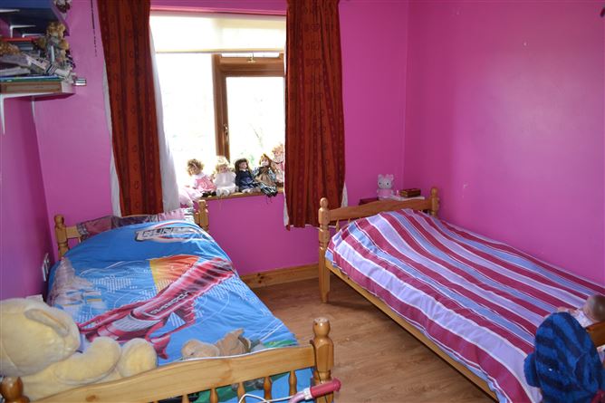 Ballyminaun, Gorey, Wexford