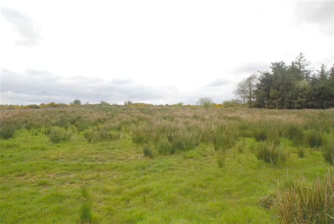 Ballybeg, Kincon, Ballina, Mayo