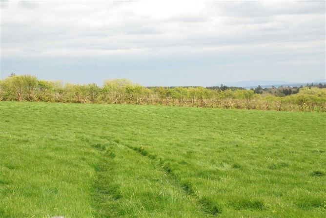 Ballybeg, Kincon, Ballina, Mayo