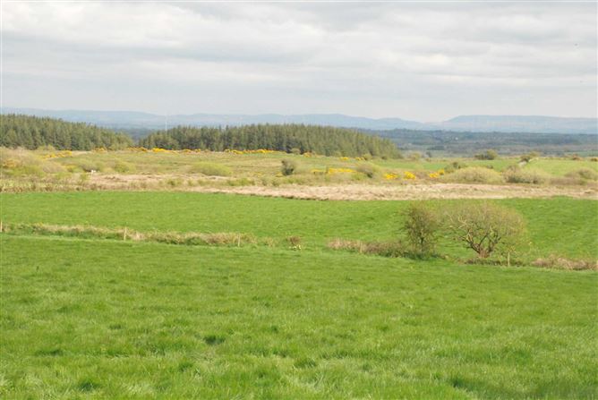 Ballybeg, Kincon, Ballina, Mayo