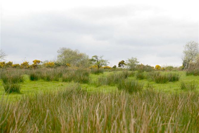 Ballybeg, Kincon, Ballina, Mayo