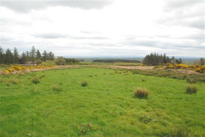 Ballybeg, Kincon, Ballina, Mayo