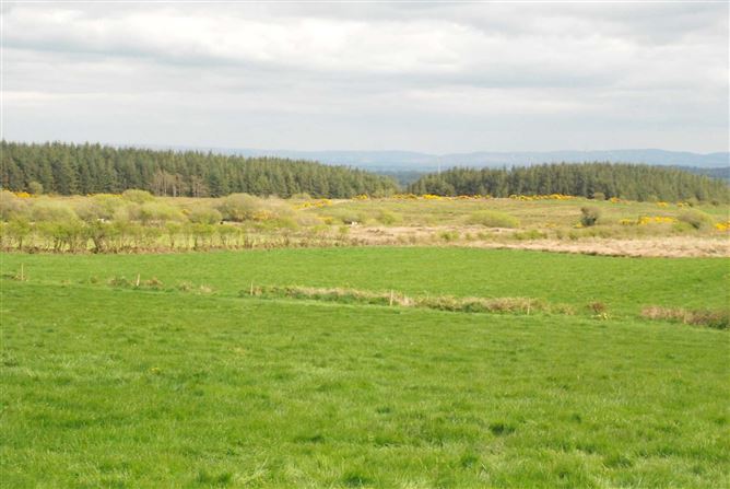 Ballybeg, Kincon, Ballina, Mayo