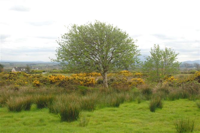 Ballybeg, Kincon, Ballina, Mayo