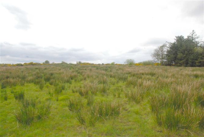 Ballybeg, Kincon, Ballina, Mayo