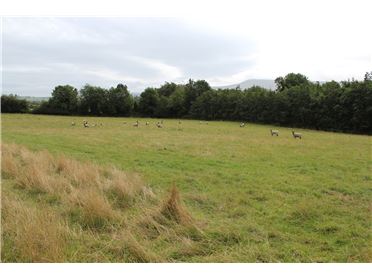 Image for Sites For Sale,Corrie Beg,Bagenalstown