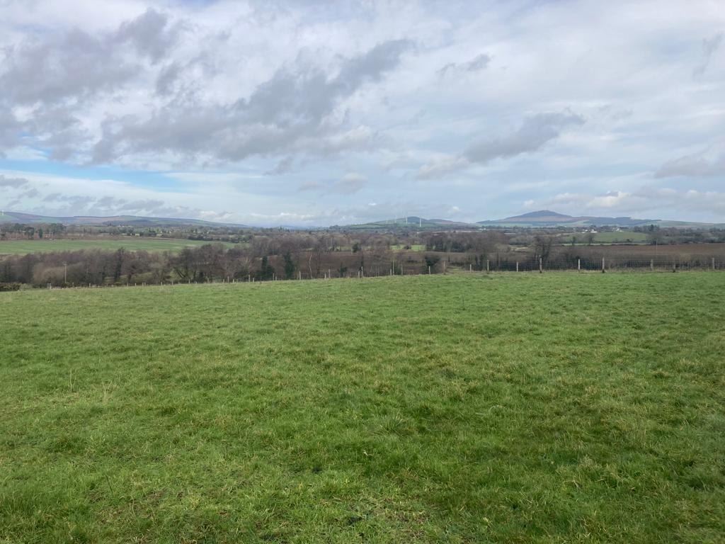 Corah, Ferns, Wexford Quinn Property (Gorey) 4681436 MyHome.ie