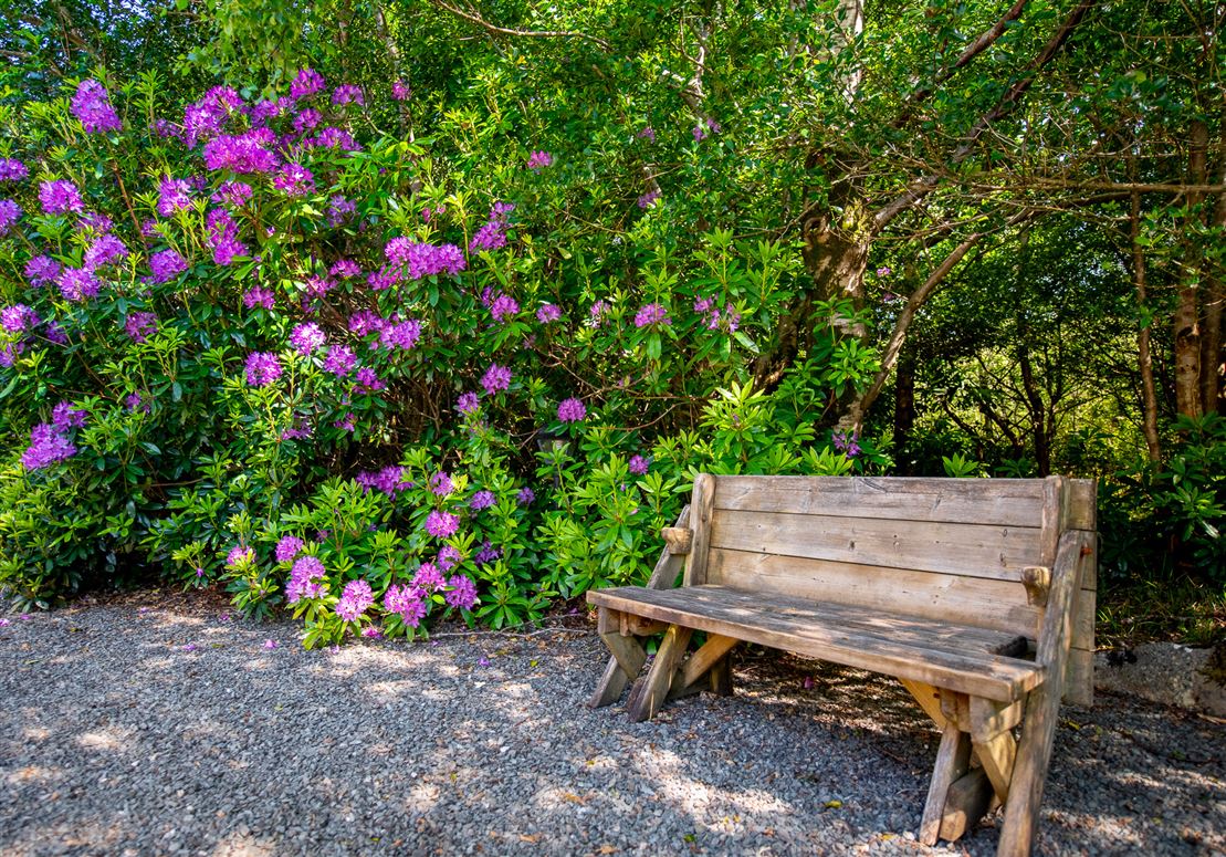 The Old Oak Cottage, Collorus, Lauragh, Kenmare, Co. Kerry, V93 W6V9 The Old Oak Cottage, Collorus, Lauragh, Kenmare, Co. Kerry, V93 W6V9