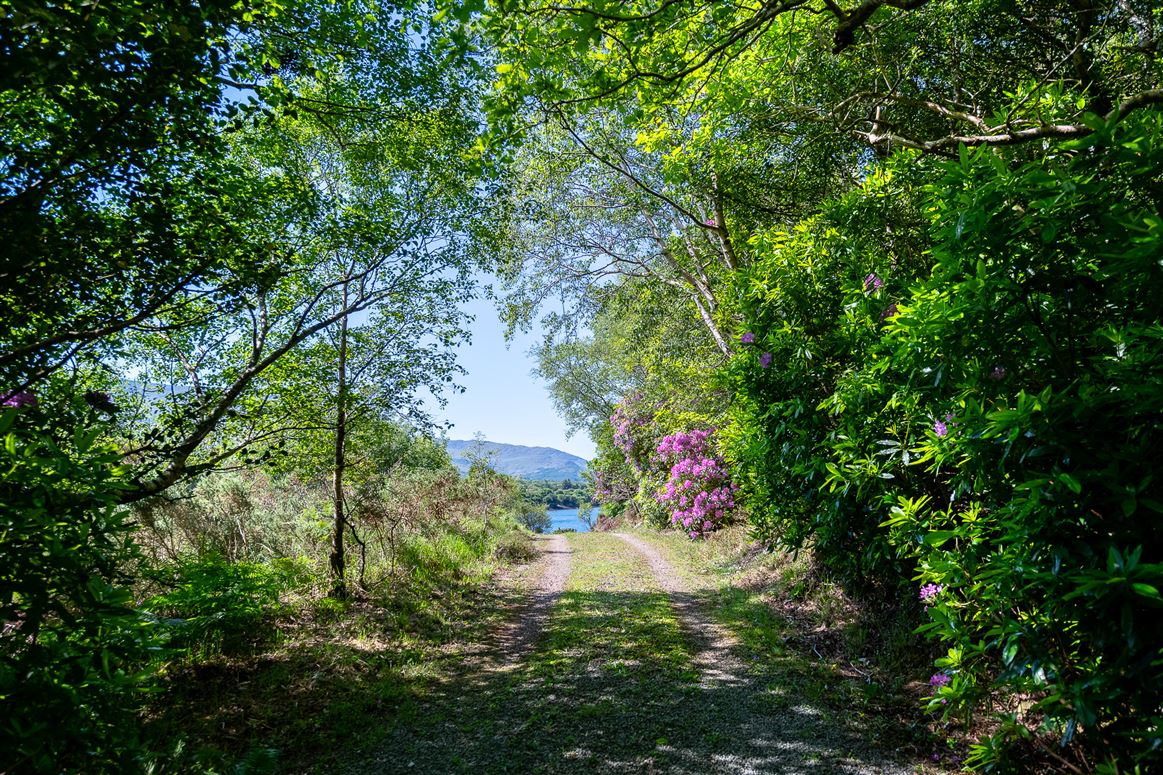 The Old Oak Cottage, Collorus, Lauragh, Kenmare, Co. Kerry, V93 W6V9 The Old Oak Cottage, Collorus, Lauragh, Kenmare, Co. Kerry, V93 W6V9