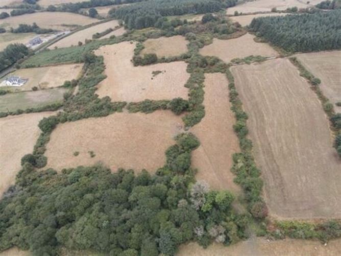 Lands Miltown, Graiguenmanagh, Borris, Co. Kilkenny