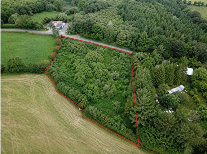 Lands At, Ballanabarney, Inistioge, Co. Kilkenny