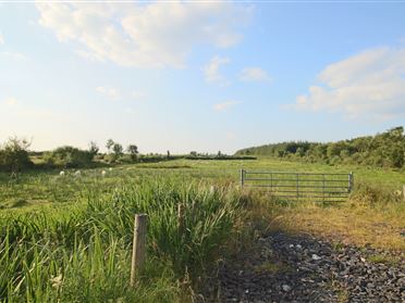 Tartan, Ballinameen, Co. Roscommon