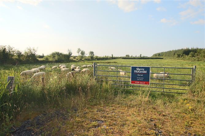 Tartan, Ballinameen, Co. Roscommon