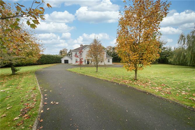 Borris Great, Portlaoise, Co. Laois