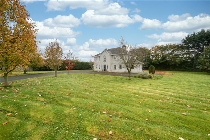 Borris Great, Portlaoise, Co. Laois
