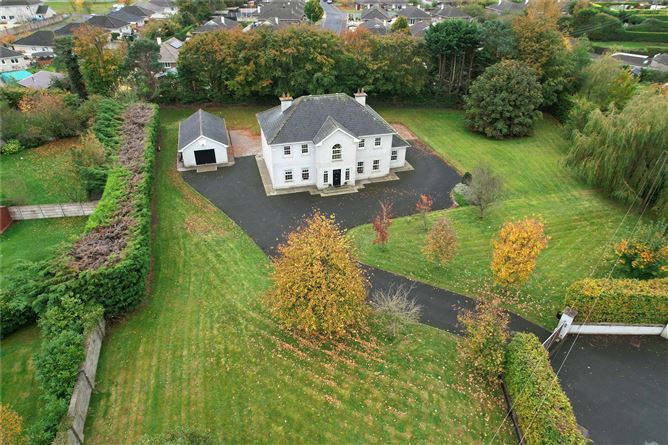Borris Great, Portlaoise, Co. Laois