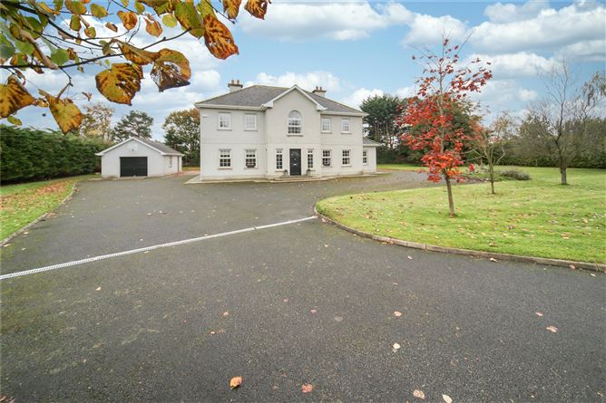 Borris Great, Portlaoise, Co. Laois