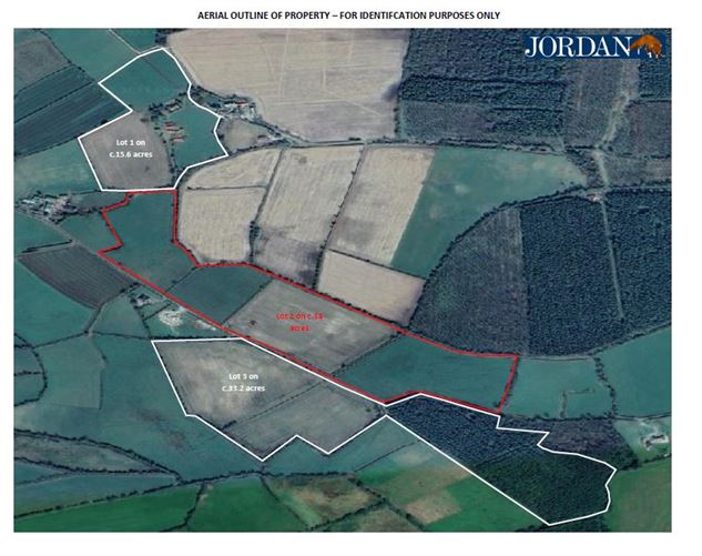 c. 83 Acres, Clonygowan, Ballyfin, Laois