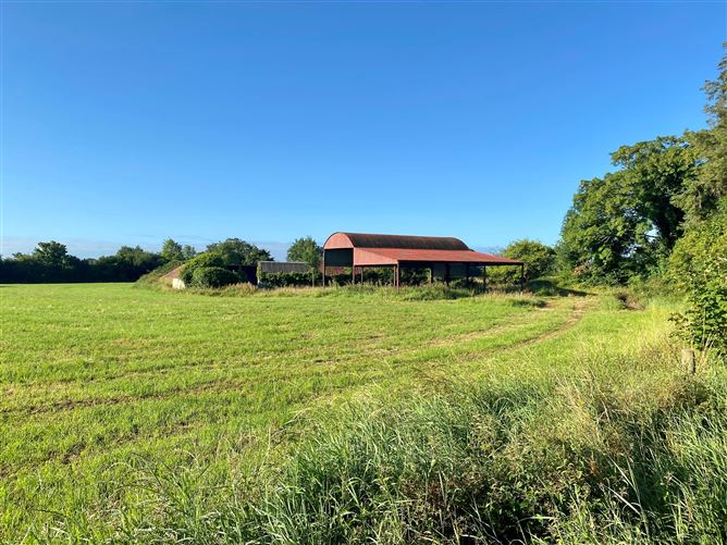 c. 83 Acres, Clonygowan, Ballyfin, Laois