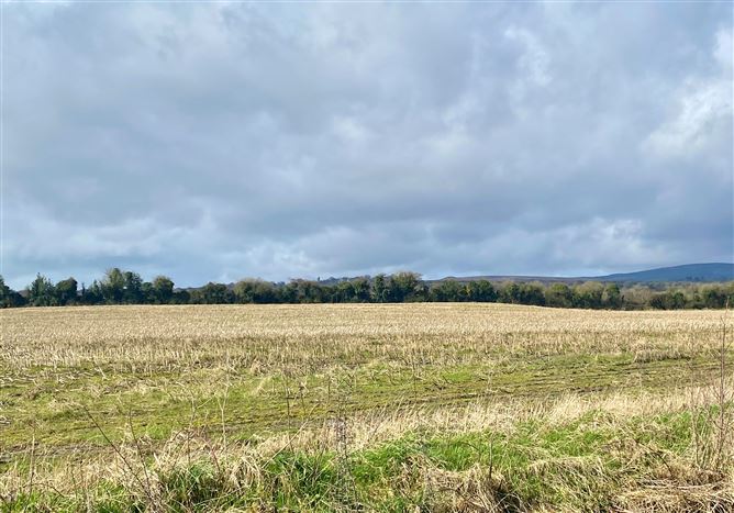 c. 83 Acres, Clonygowan, Ballyfin, Laois