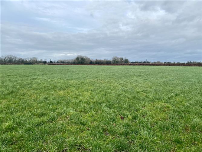 c. 83 Acres, Clonygowan, Ballyfin, Laois