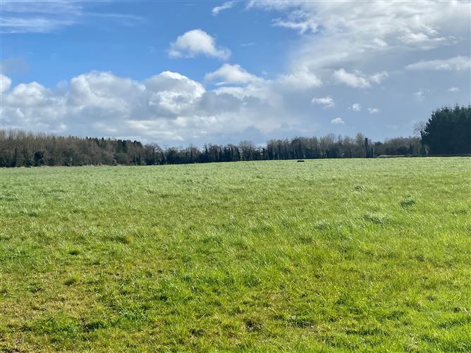 c. 83 Acres, Clonygowan, Ballyfin, Laois