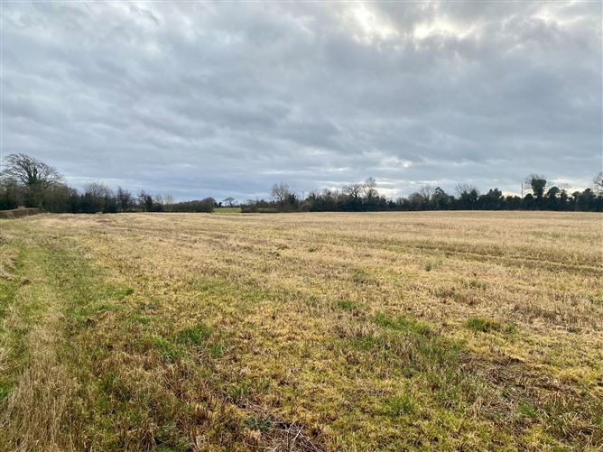 c. 83 Acres, Clonygowan, Ballyfin, Laois