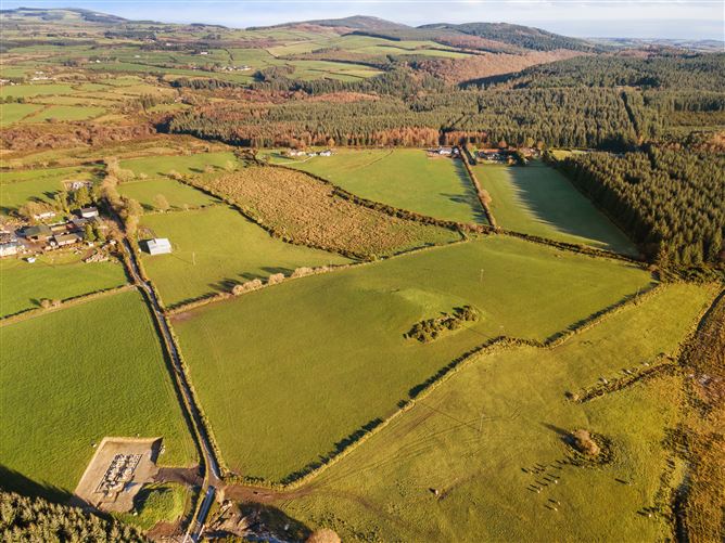 c. 35.4 acres at Tiglin, Ashford, Wicklow
