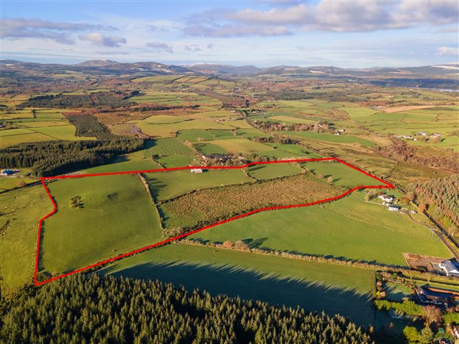 c. 35.4 acres at Tiglin, Ashford, Wicklow