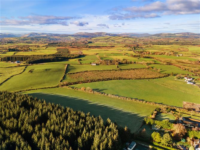 c. 35.4 acres at Tiglin, Ashford, Wicklow