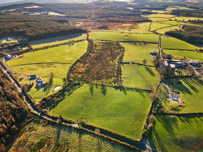c. 35.4 acres at Tiglin, Ashford, Wicklow