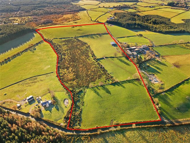 c. 35.4 acres at Tiglin, Ashford, Wicklow