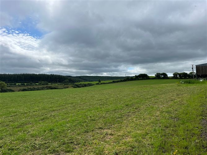 c. 35.4 acres at Tiglin, Ashford, Wicklow
