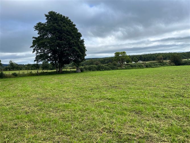 c. 35.4 acres at Tiglin, Ashford, Wicklow