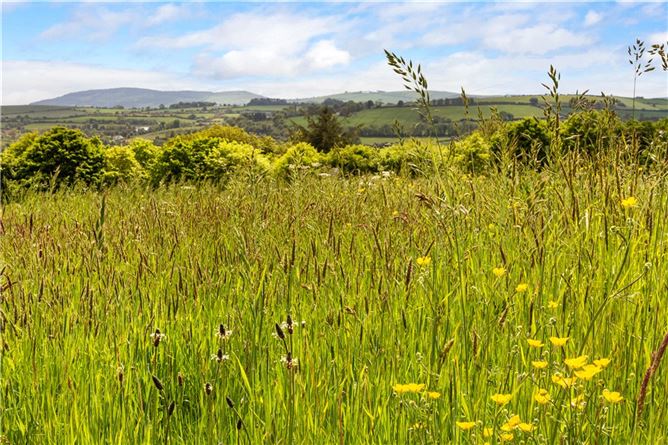 Edendale and Eden Lodge, Kilbride, Nr. Brittas Bay, Co. Wicklow